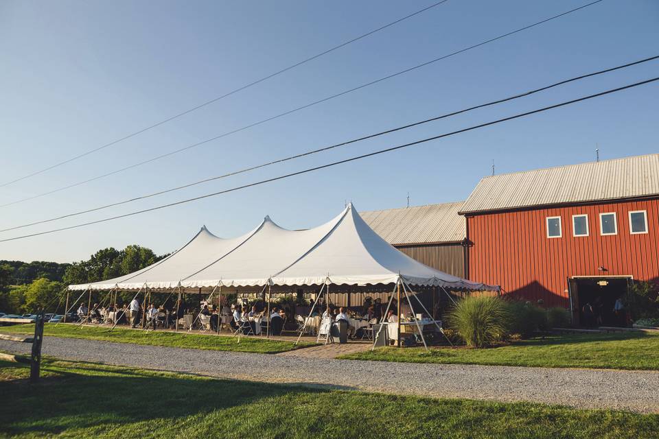 Tent setup