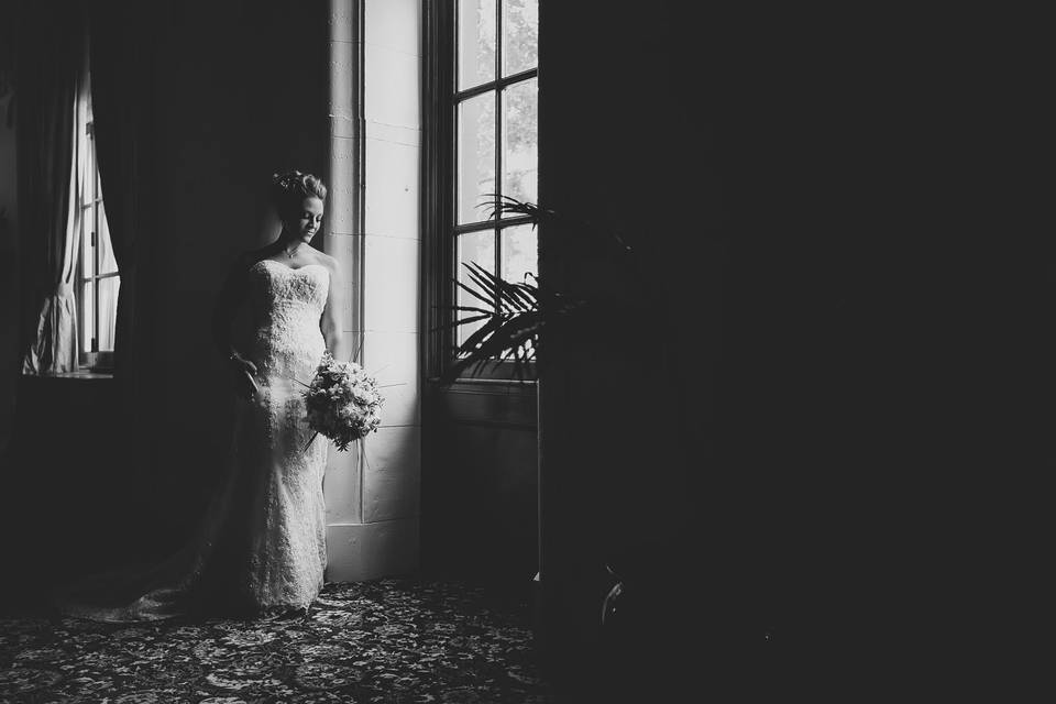 Blue Butterfly Films
