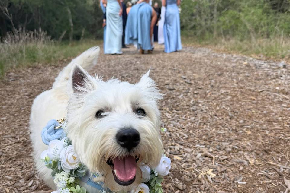 weddingppro5.jpg