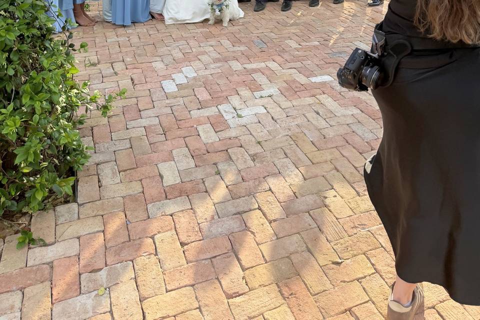 weddingpro11.jpg