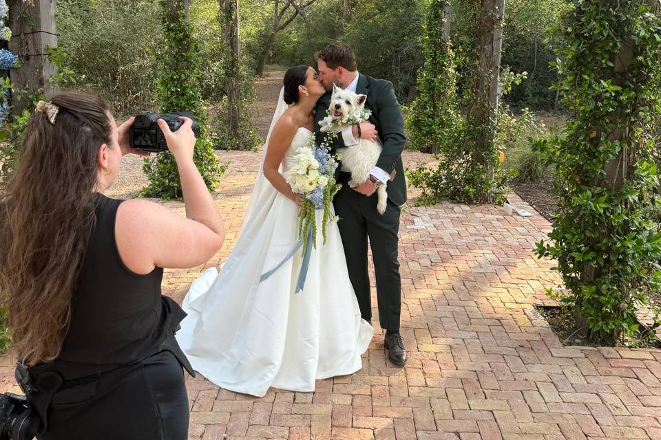 weddingpro6.jpg