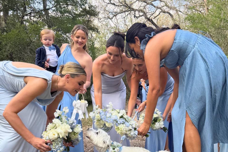 weddingpro7.jpg