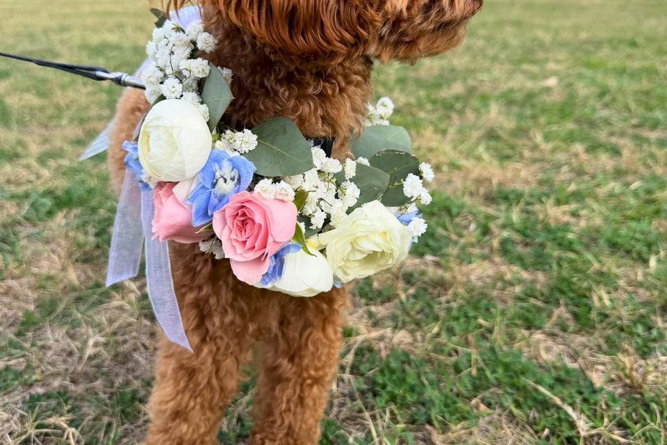 weddingpro8.jpg