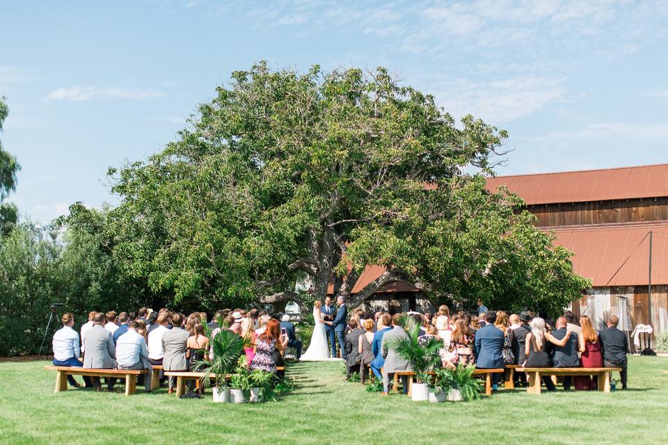 Wedding ceremony