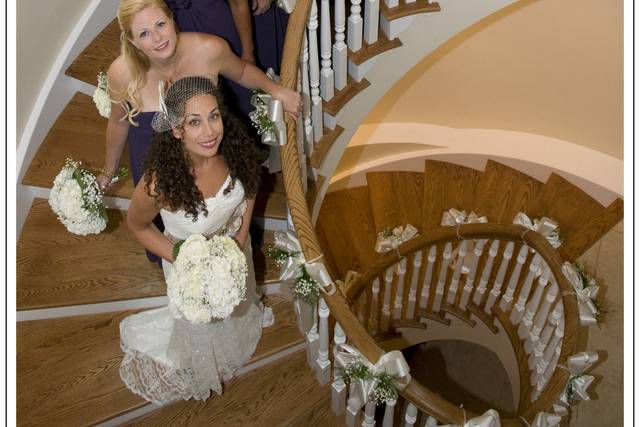 Mark Linton Photography