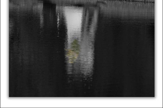 Mark Linton Photography