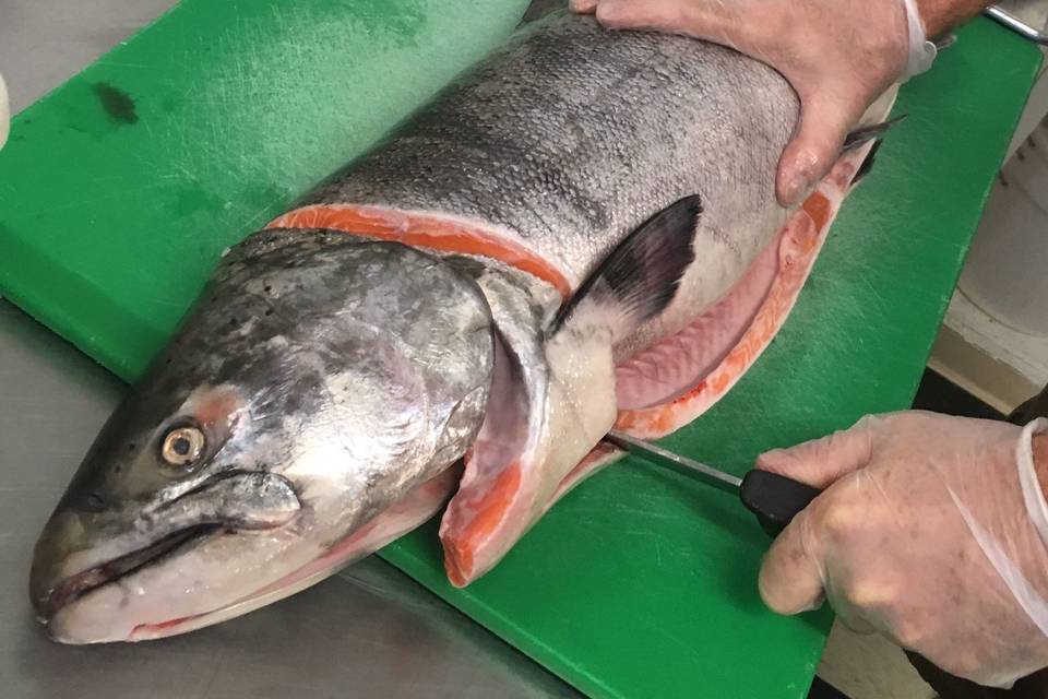 Tuna