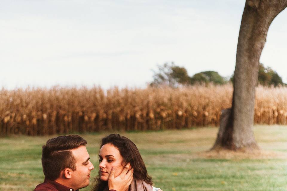 Brendan Moorehead Photography