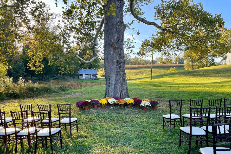 K&P - Ceremony