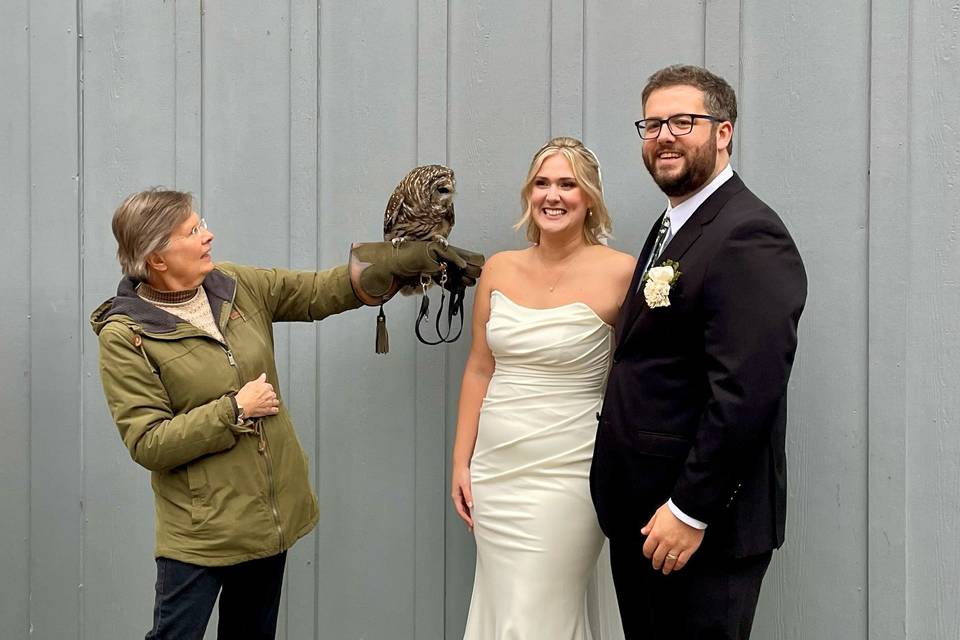 S&J - Owl