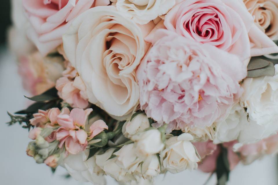 Kristina Elizabeth Photography