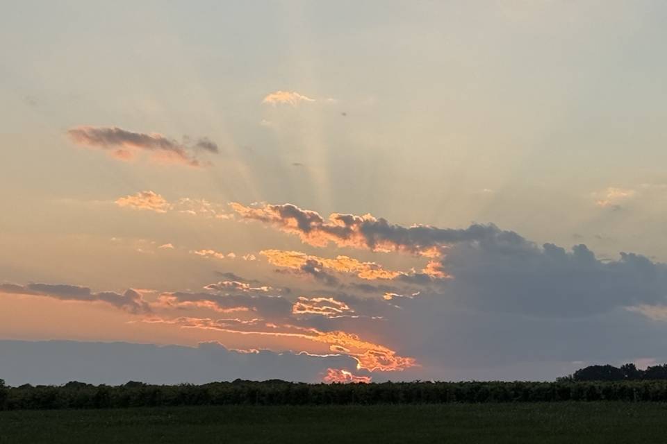 Just a little sunset view.