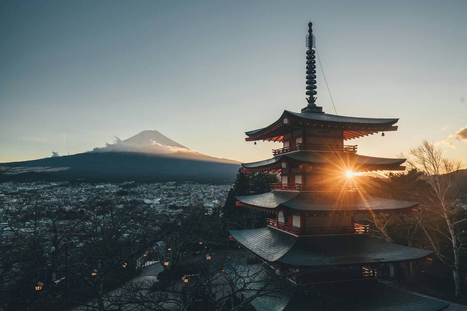 Japan Evenings
