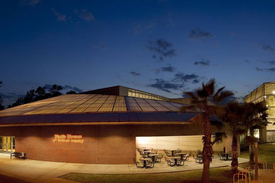 Florida Museum at night