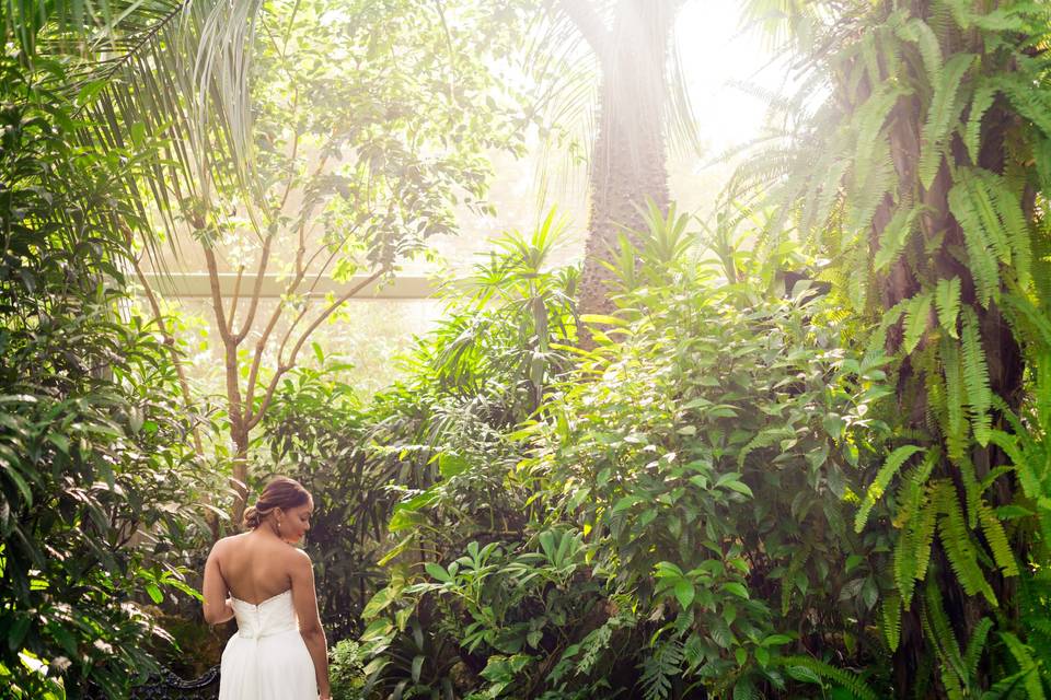 Bride in the Rainforest