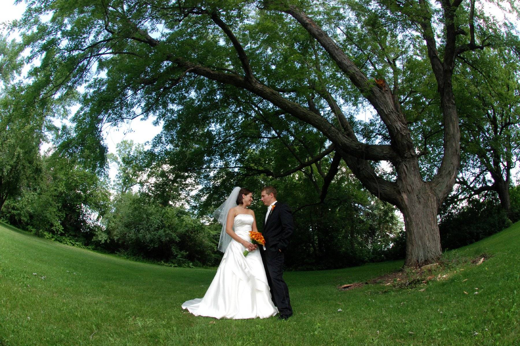 Cedarhurst Mansion - Venue - Cottage Grove, MN - WeddingWire 