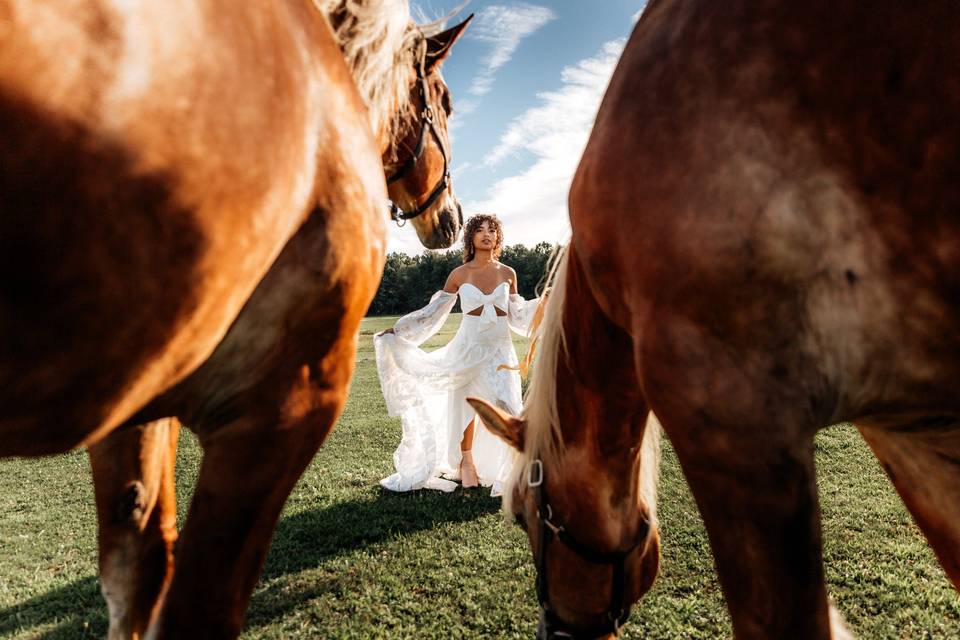 Wild Bridal