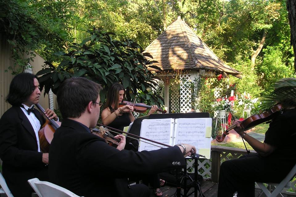 Houston Wedding & Reception String Music