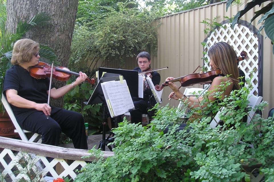 Houston Wedding & Reception String Music
