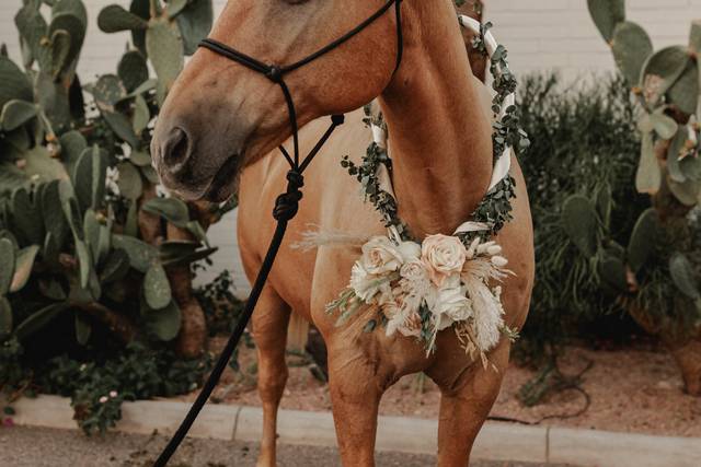Mock Wedding