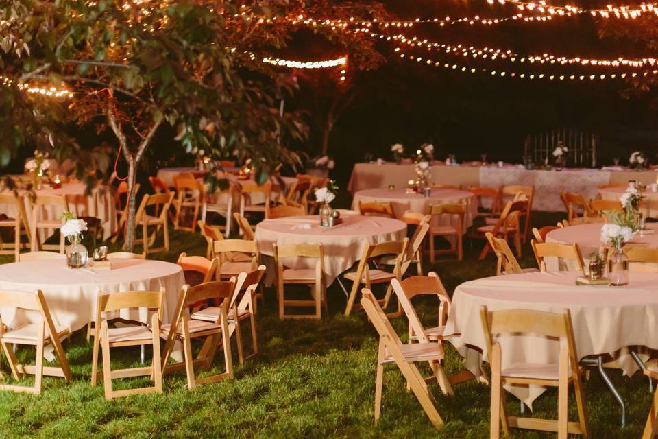Outdoor Reception
