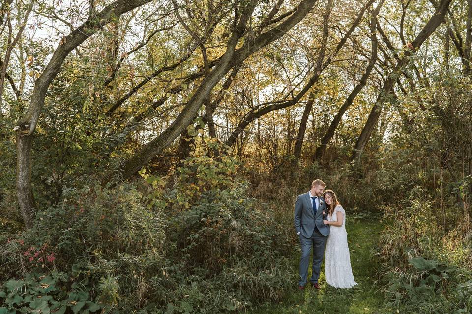 Enchanted Woods