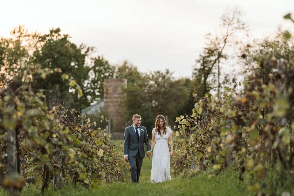 Vinyard