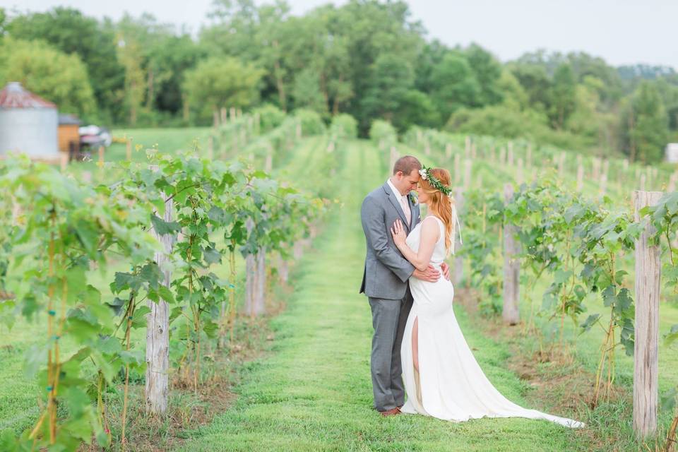 Vinyard