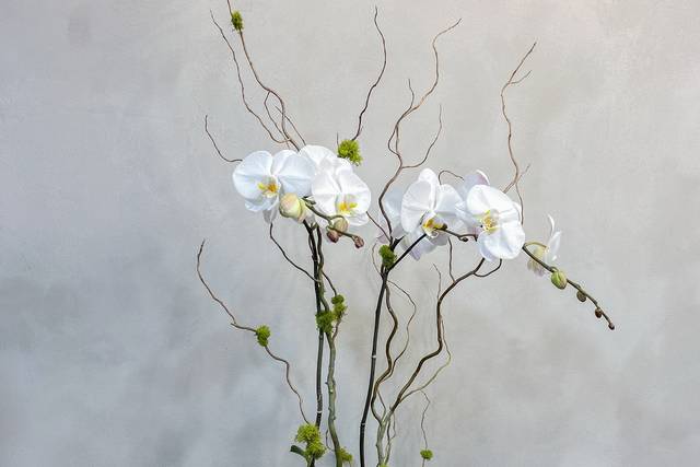 Twiggs Floral Design Gallery
