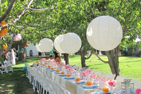 Wedding banquet table in the cherry trees! Beautiful setting and gorgeous day!