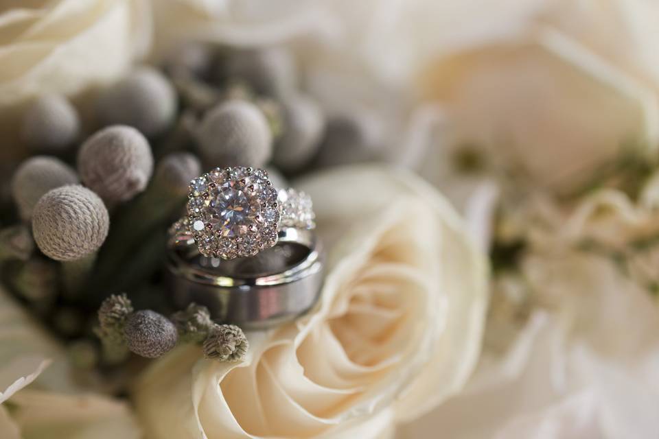 Lisa Roy Photography