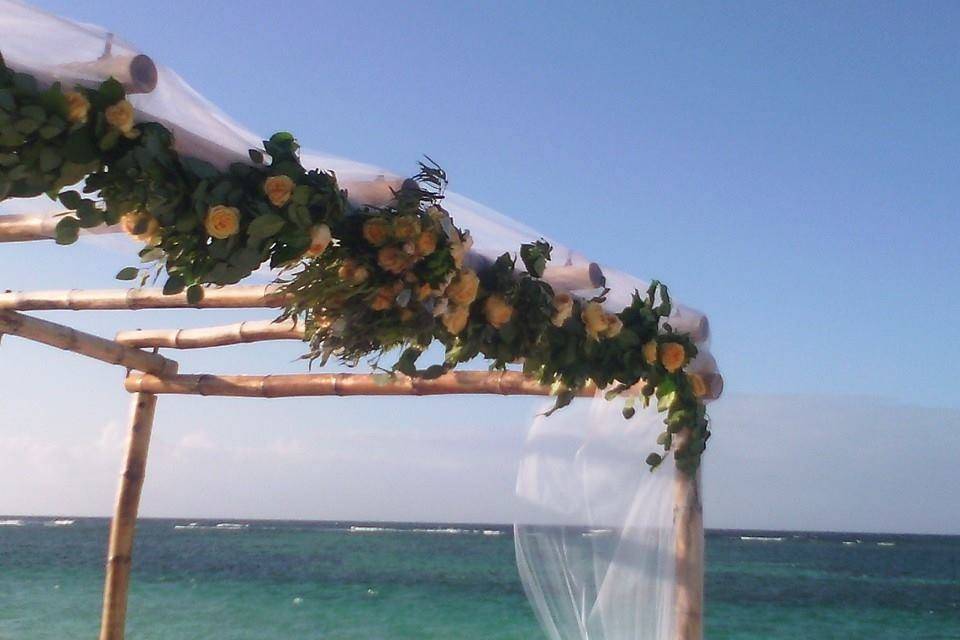 Anegada Weddings of Keith's Exquisite Touch