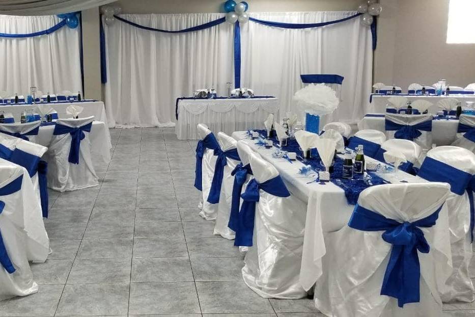 Blue Affair Wedding Reception