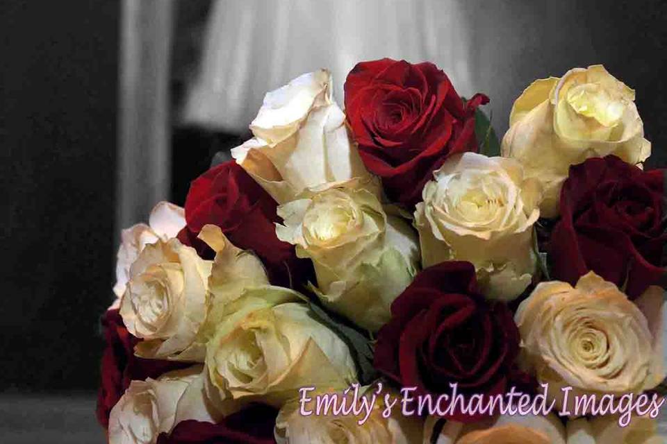 Wedding Photographer