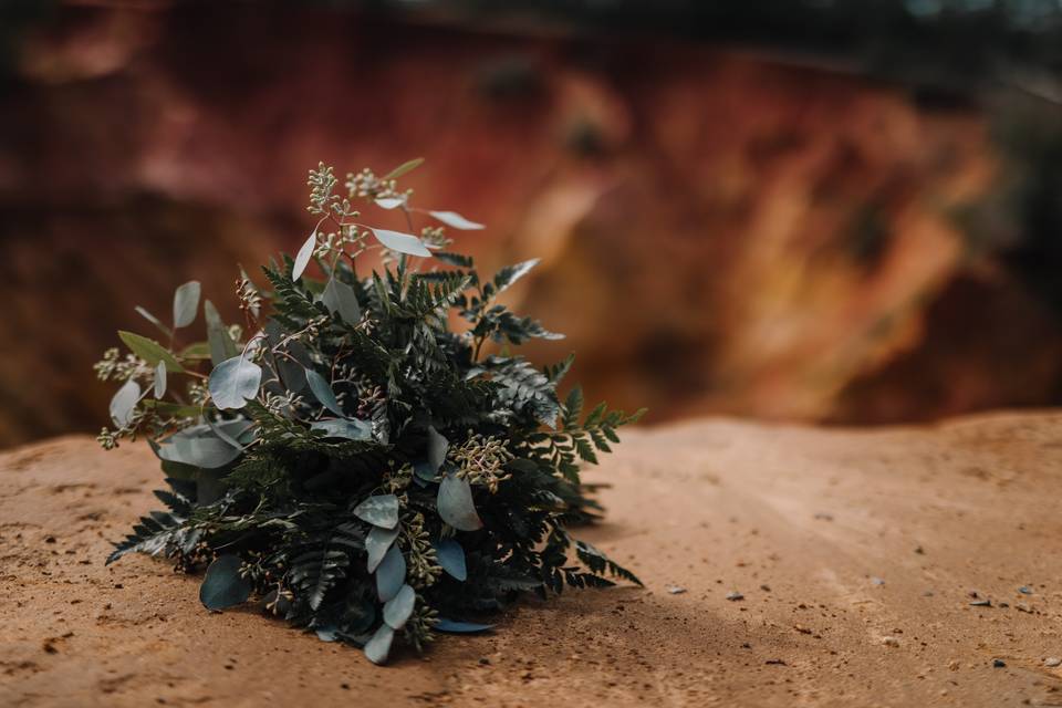 Red Bluff Elopement