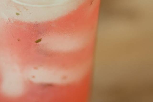 Blueberry Mojito