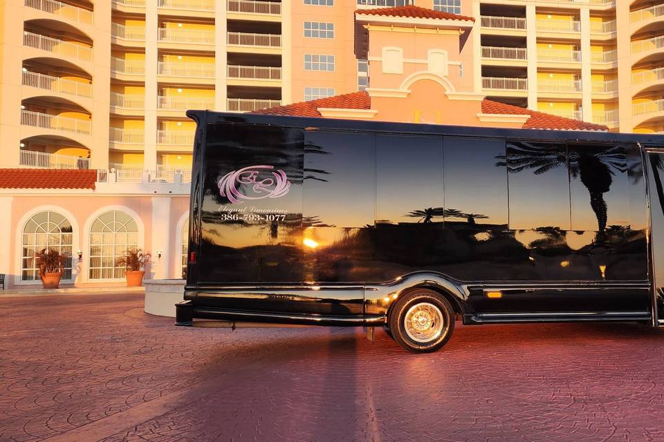 Luxury Party-Bus