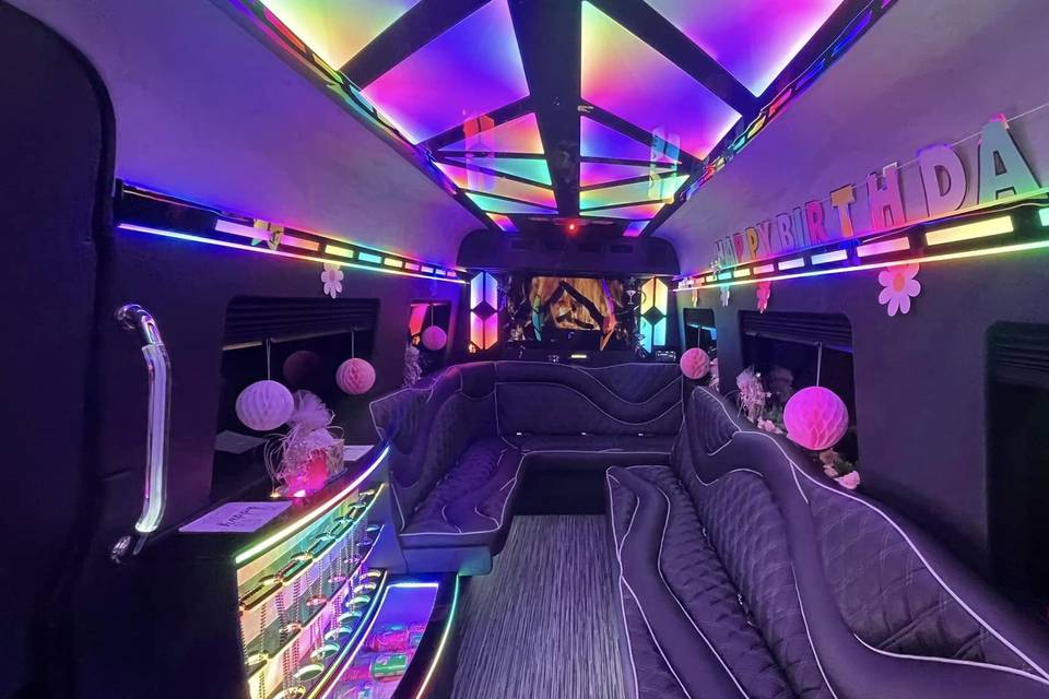 Mercedes Sprinter Limo inside