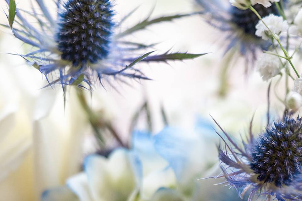 Fingerprint Photo Studio