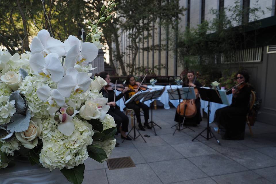 Performing on a patio