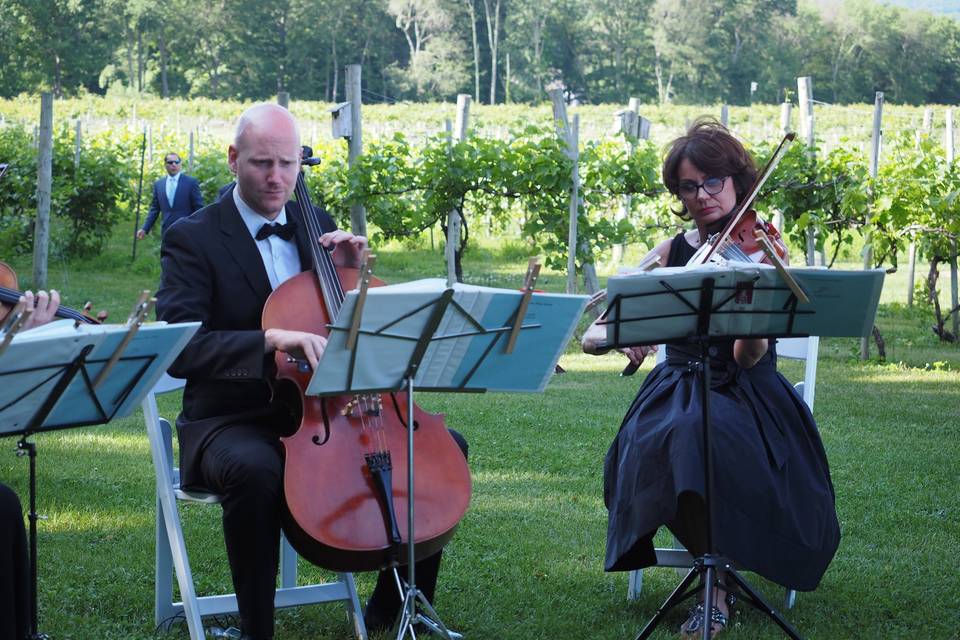 A garden performance