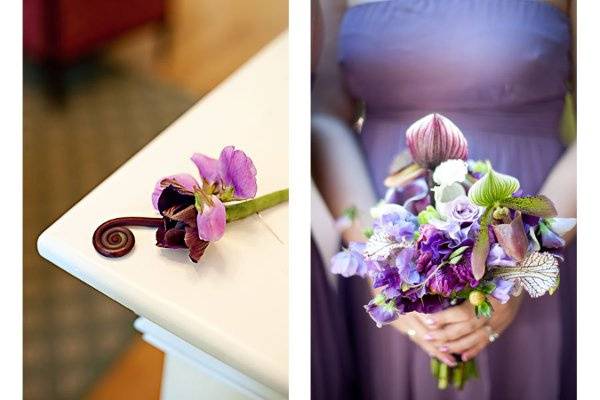 Vero Suh Photography