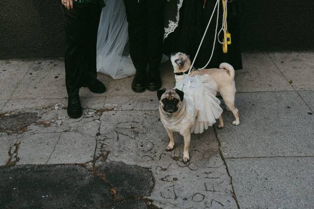 Kleo & Xyla!