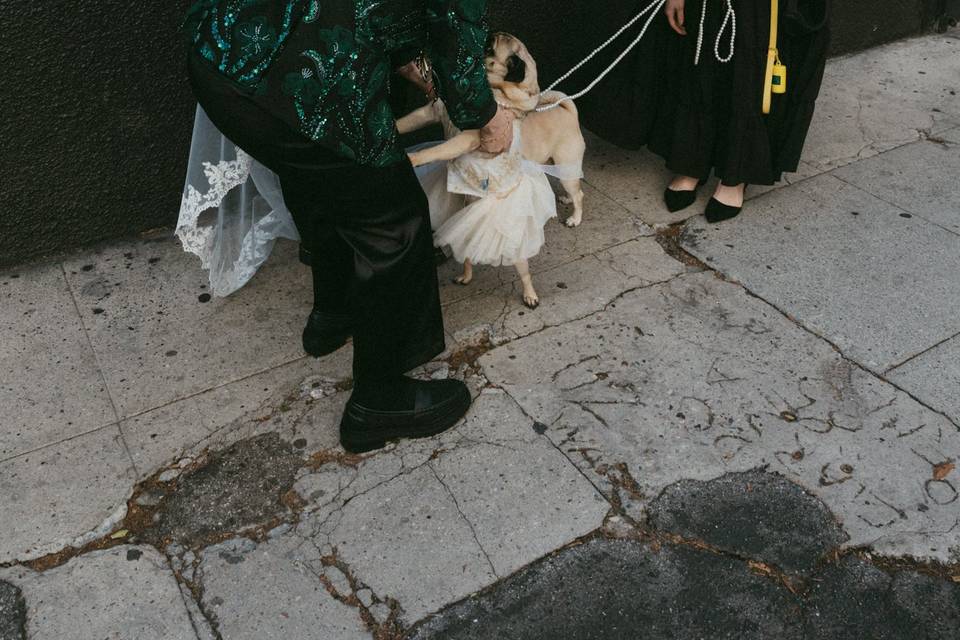 Kleo & Xyla!