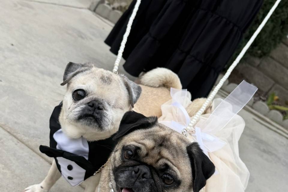 Kleo & Xyla!