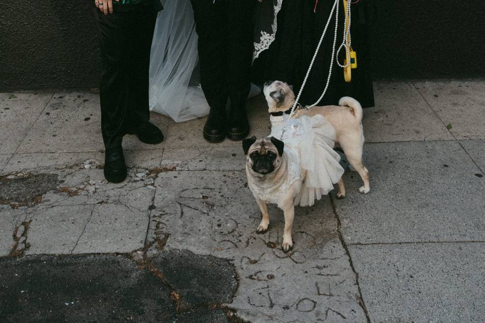 Kleo & Xyla!