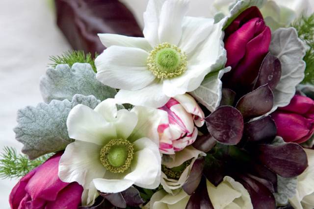 Winter-themed bouquet with white ranunculas, tulips, roses and lambs ear.