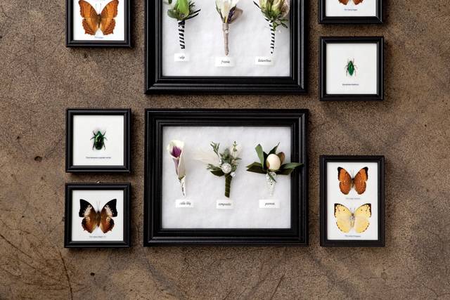 Beautiful specimens: a selection of boutonnieres for the modern, romantic man.