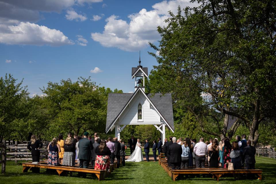 Outdoor Ceremony