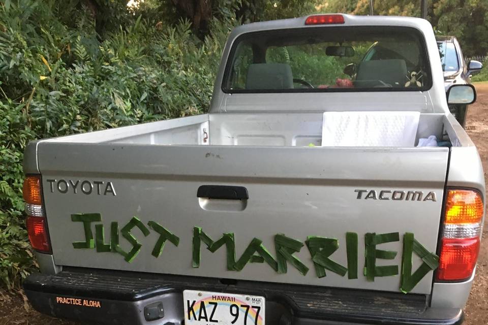 Bass Lake Dream Wedding